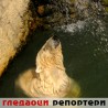 Гледаоци репортери (15. септембар 2011)