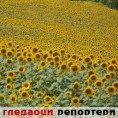 Гледаоци репортери (18. септембар 2011)