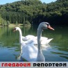 Гледаоци репортери (10. октобар 2011)
