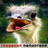 Гледаоци репортери (16. октобар 2011)