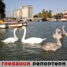 Гледаоци репортери (31. октобар 2011)