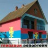 Гледаоци репортери (5. новембар 2011.)