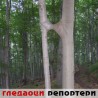 Гледаоци репортери (20. новембар 2011.)