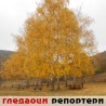 Гледаоци репортери (22. новембар 2011.)