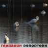 Гледаоци репортери (5. децембар 2011)