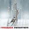 Гледаоци репортери (11. децембар 2011)