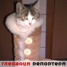 Гледаоци репортери (13. децембар 2011)