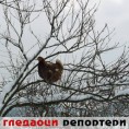 Гледаоци репортери (20. јануар 2012)