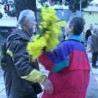 Жикина шареница