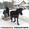 Гледаоци репортери (9. фебруар 2012)