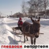 Гледаоци репортери (13. фебруар 2012)