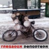 Гледаоци репортери (18. фебруар 2012)
