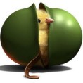 Мирко Илић