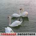 Гледаоци репортери (9. март 2012)