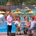 Жикина шареница