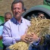 Жикина шареница
