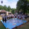Жикина шареница