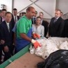 У средишту пажње