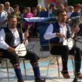 Жикина шареница