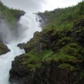 Нежни додир тролова