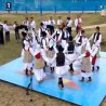 Жикина шареница