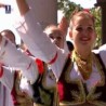 Жикина шареница