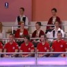 Жикина шареница