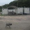 Романо тхем