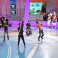 Жикина шареница