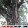 Гледаоци репортери (3. децембар 2012)