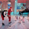 Жикина шареница