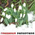 Гледаоци репортери (10. фебруар 2013)