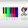 Беосонг 2013