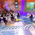 Жикина шареница