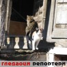 Гледаоци репортери (25. март 2013)