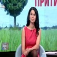 Тема Србије на вези