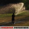 Гледаоци репортери (11. август 2013)