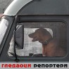 Гледаоци репортери (25. август 2013)