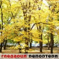 Гледаоци репортери (13. октобар 2013)