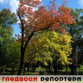 Гледаоци репортери (28. октобар 2013)