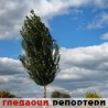 Гледаоци репортери (17. новембар 2013)