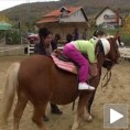 Дружење са коњима лековито за душу