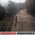 Гледаоци репортери (9. фебруар 2014)