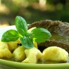 Божански лек за све болести
