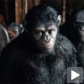 Премијера „Планете мајмуна“ одложена за сутра
