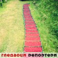 Гледаоци репортери (18. јул 2014)
