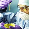 Матичне ћелије за бржи опоравак после шлога