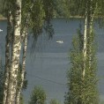 Траг: Откривање Власине