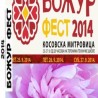 Божур фест у Косовској Митровици