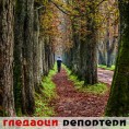 Гледаоци репортери (13. новембар 2014)